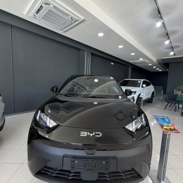 BYD DOLPHIN SURF