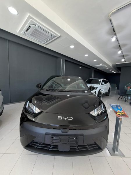 BYD DOLPHIN SURF
